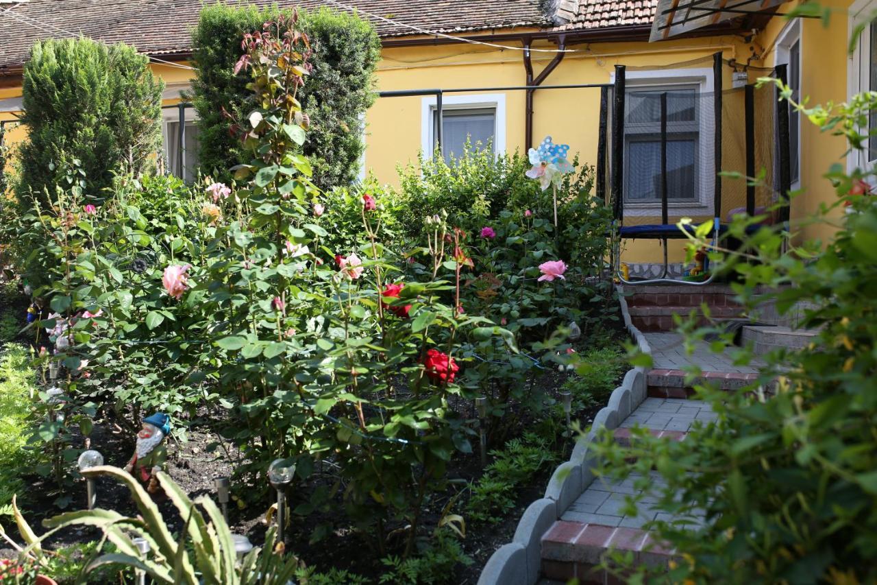 Color Home Hermannstadt Extérieur photo